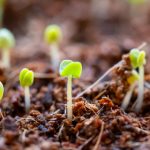 588开奖结果与前后号码关联性深度解析 a4wywp