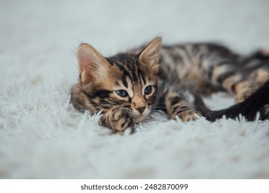 深入解析sk娱乐彩票的玩法规则与选号策略综合评析