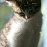 Lanm大神直播首秀,今晚八点锁定直播间不见不散 tn652yn