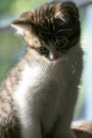 Lanm大神直播首秀,今晚八点锁定直播间不见不散 Lanm大神直播首秀,今晚八点锁定直播间不见不散